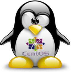 penguin pingouin pinguino 919